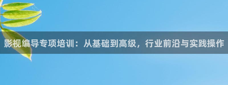 红叶影院免费观看电视剧：影视编导专项培训：从基础到高级，行业前沿与实践操作