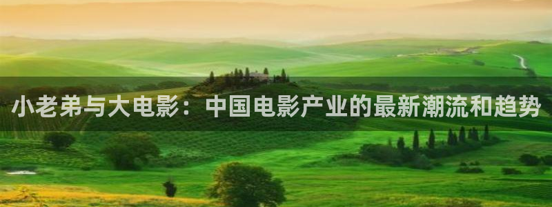 六安红叶国际影城：小老弟与大电影：中国电影产业的最新潮流和趋势