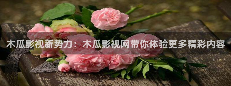 红叶影院免费观看电视剧：木瓜影视新势力：木瓜影视网带你体验更多精彩内容