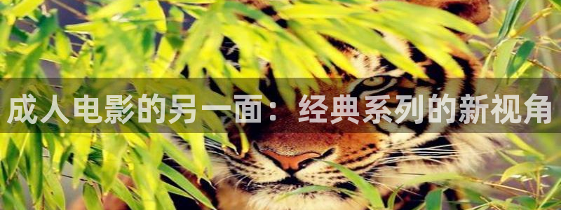 红叶影院app：成人电影的另一面：经典系列的新视角