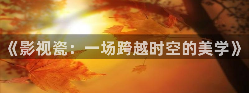 红叶影视：《影视瓷：一场跨越时空的美学》