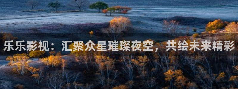 红叶影城：乐乐影视：汇聚众星璀璨夜空，共绘未来精彩