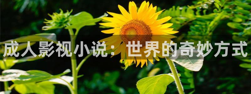 六安红叶影城电影：成人影视小说：世界的奇妙方式