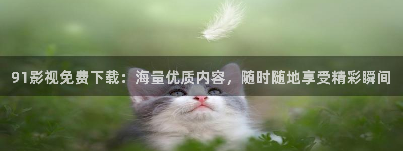 六安红叶影城今日电影：91影视免费下载：海量优质内容，随时随地享受精彩瞬间