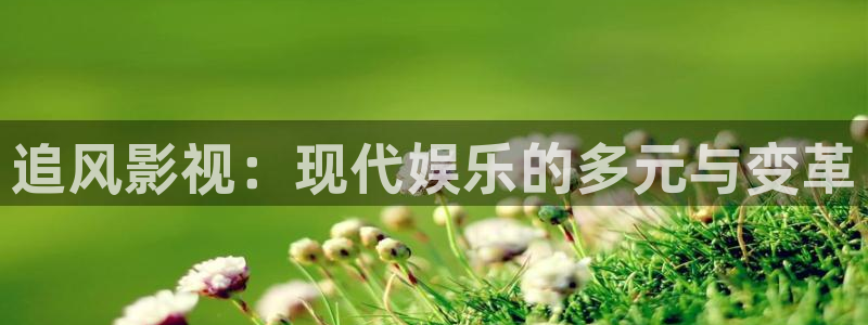 红叶影院：追风影视：现代娱乐的多元与变革