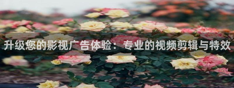 红叶影城今日影讯：升级您的影视广告体验：专业的视频剪辑与特效